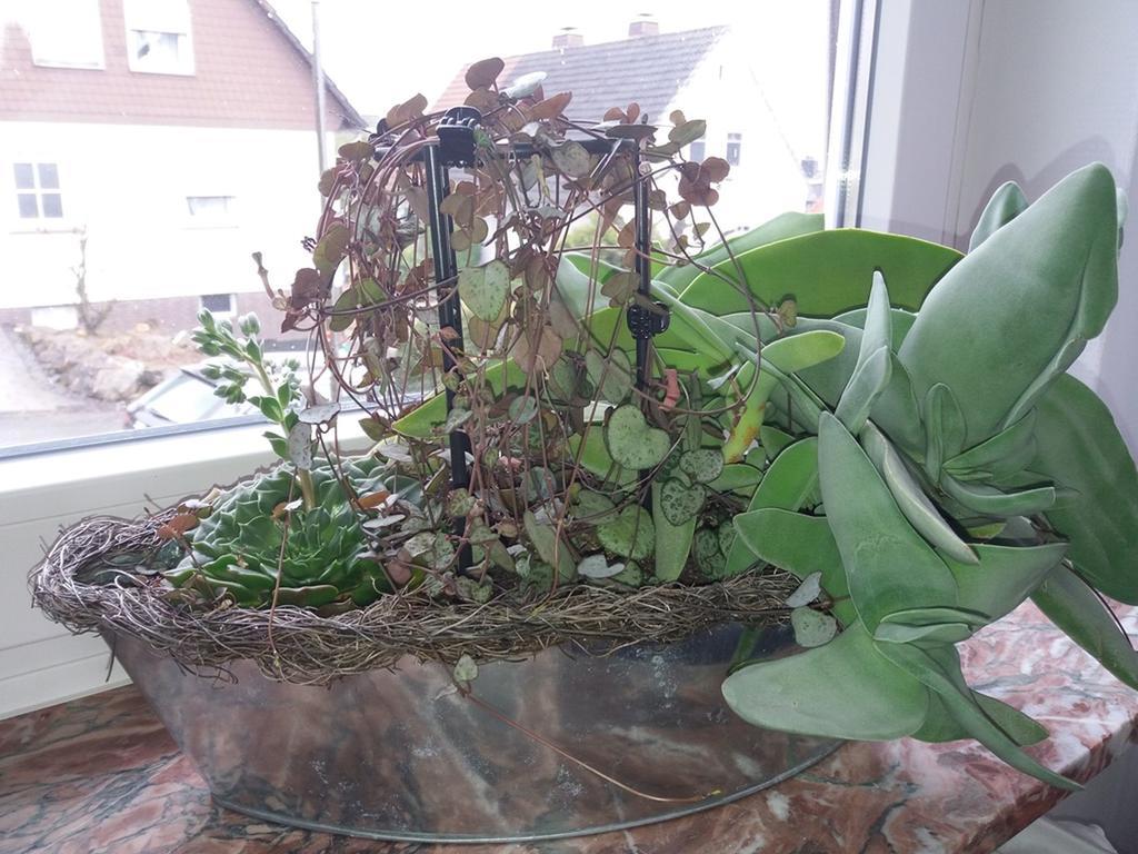Haus Maruna Schauenburg Zewnętrze zdjęcie